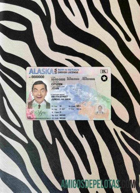 EUA Alaska DL fotovisual frontal modelo